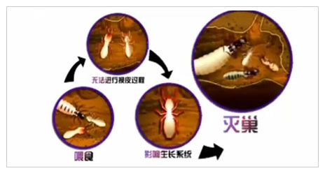 施工播報